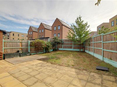 Picture 20